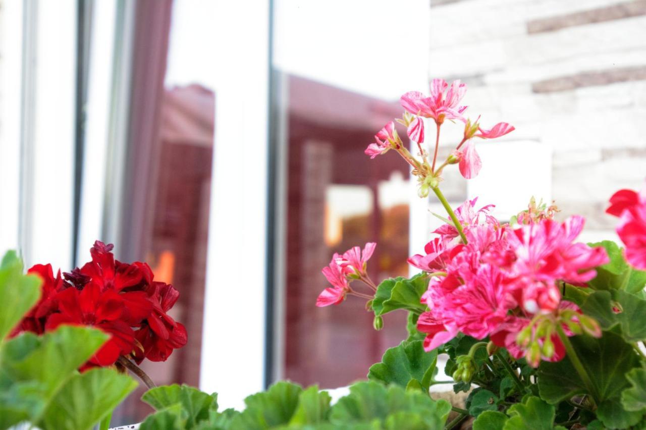 Spiridoula'S Apartments Corfu Perama  Dış mekan fotoğraf